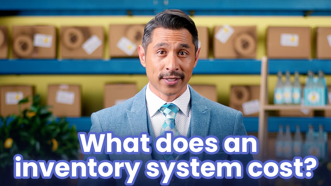 What does an inventory system cost v1.1